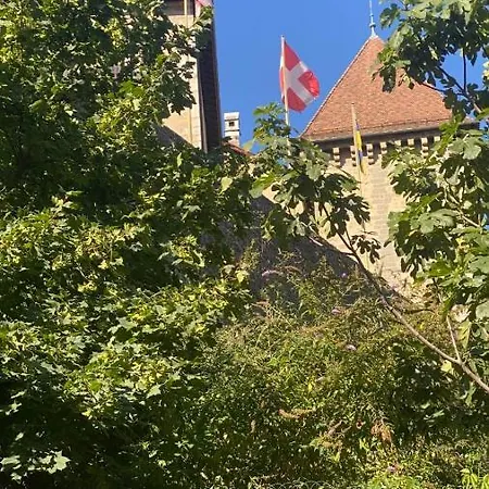 Beautiful In The Vieille D'annecy At 200m From The